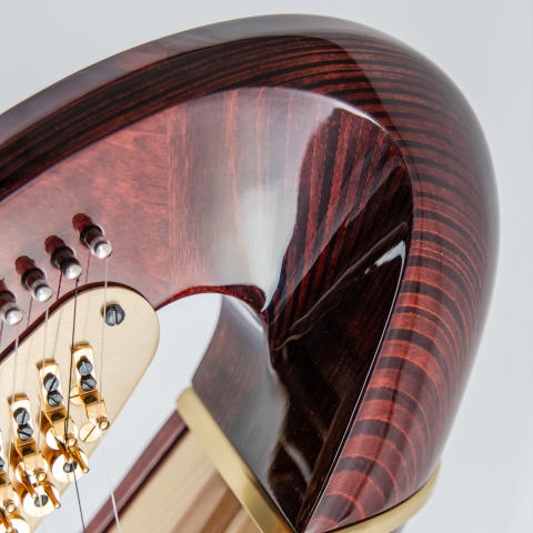 Arion SG Gold